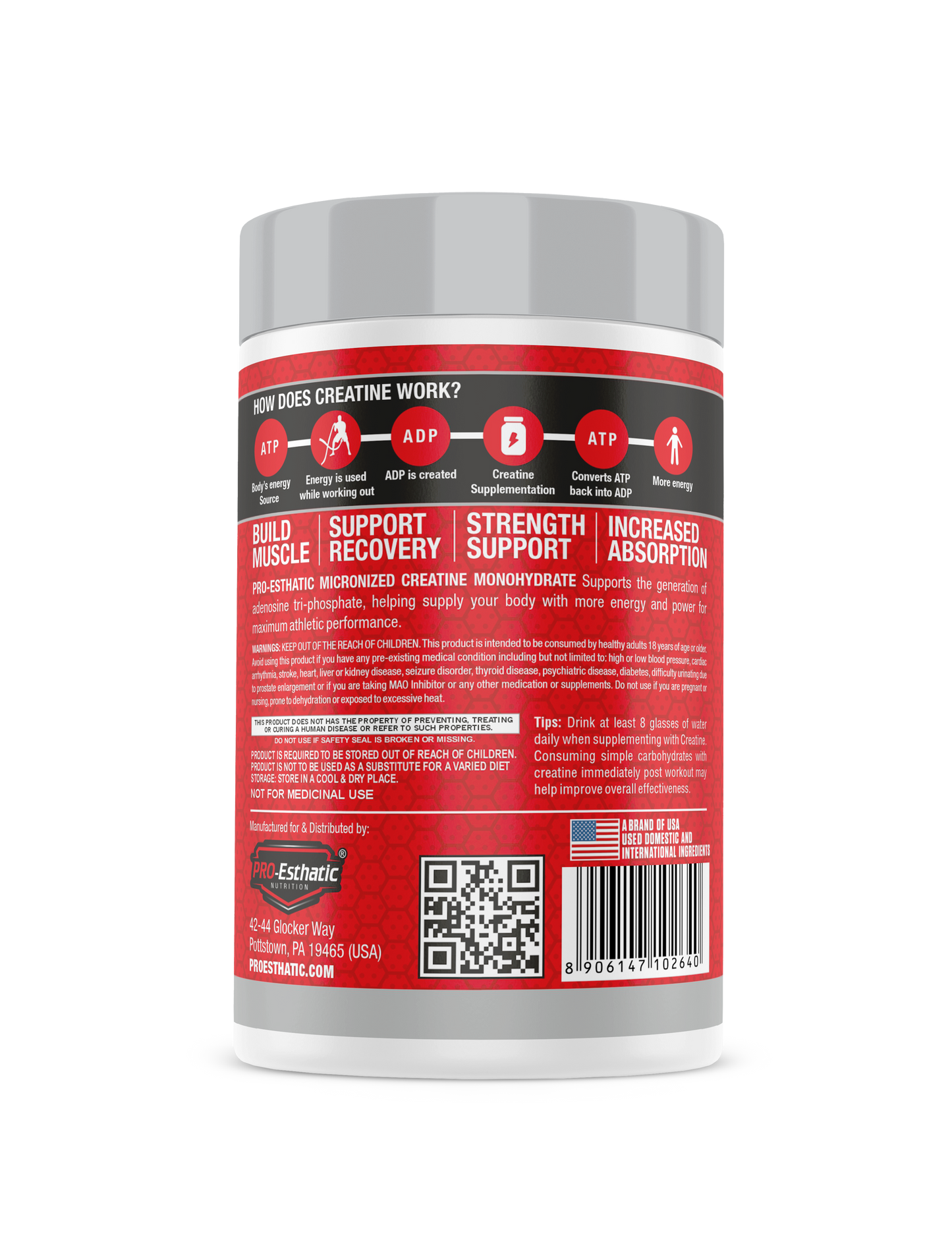 Pro Esthatic Premium Mass Gainer 6lb and Creatine Monohydrate 250gm