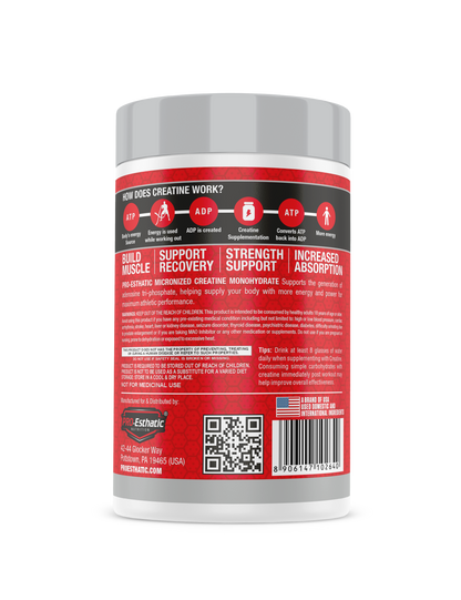 Pro Esthatic Premium Mass Gainer 6lb and Creatine Monohydrate 250gm