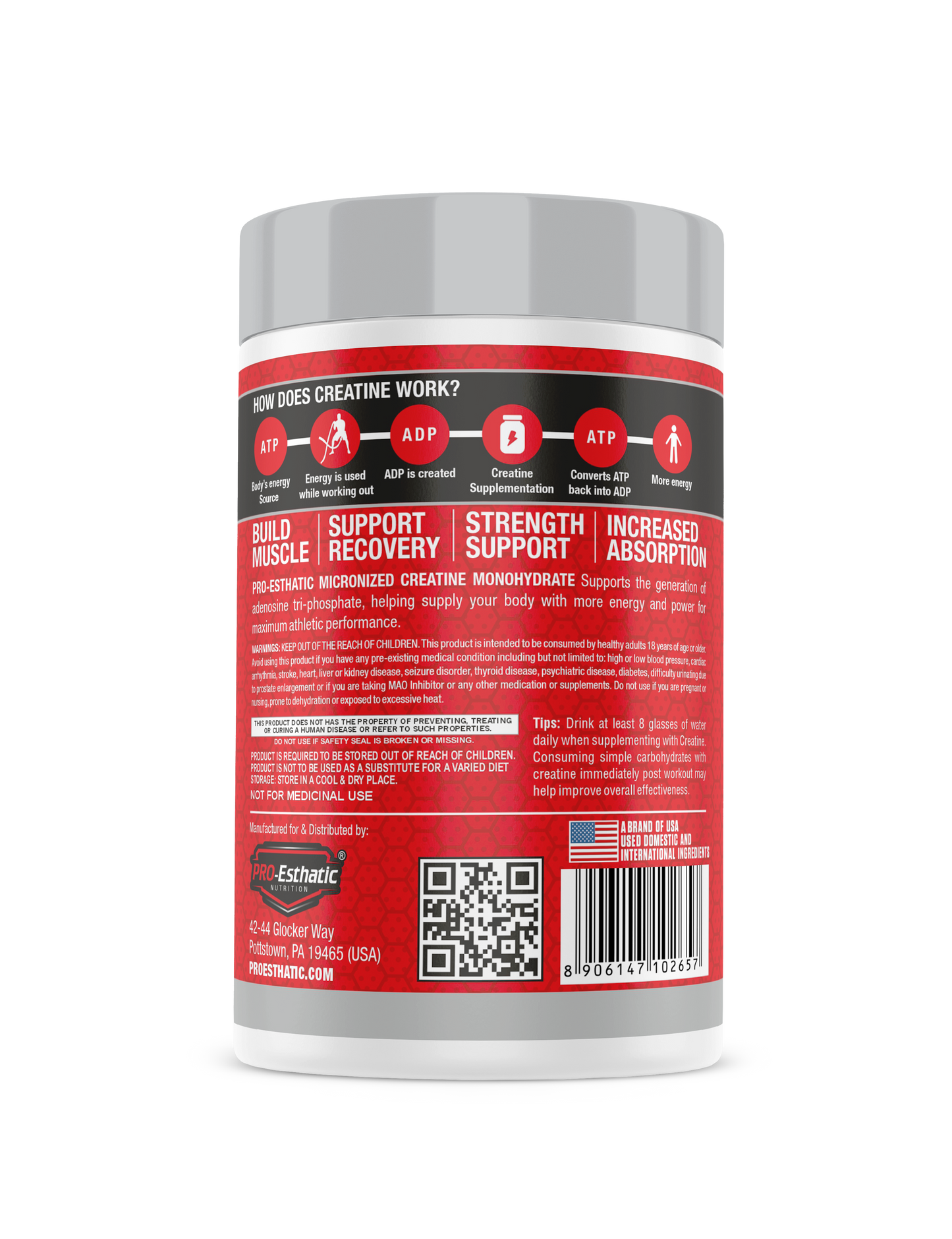 Pro Esthatic Premium Mass Gainer 6lb and Creatine Monohydrate 250gm